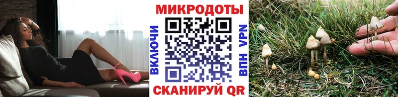 Псилоцибиновые грибы мухоморы где купить Тюкалинск
